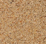 Deli Nature 40 Foreign Finches Basic